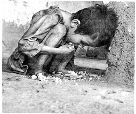 Desperate child in Latin America eats scraps in the street